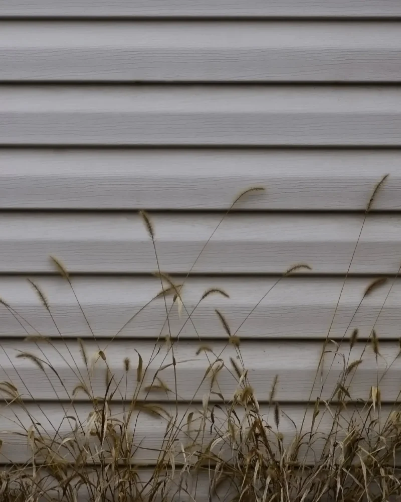 Réalisation Gourmaud Toiture, couvreur à Asserac